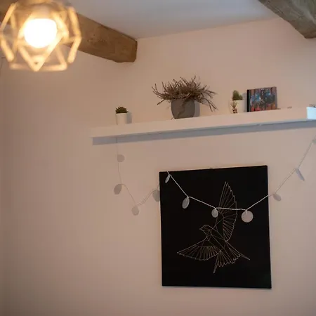 Nordic Dream In Kikinda