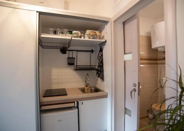 Nordic Dream In Kikinda