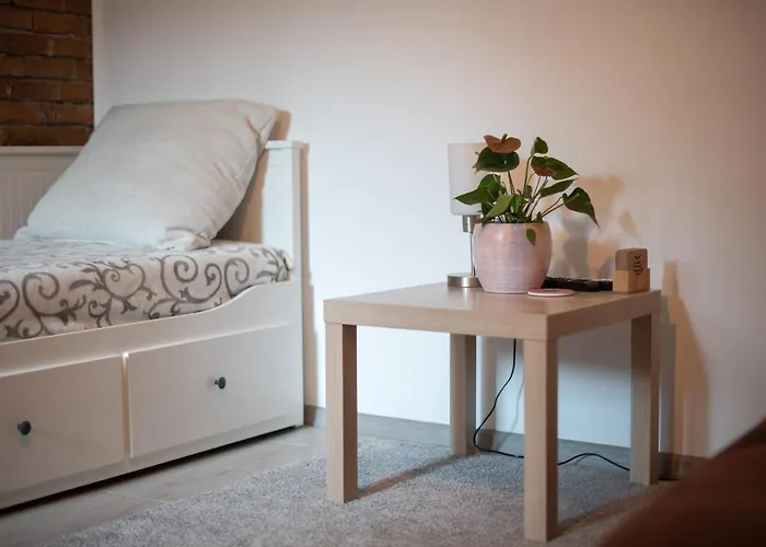 Nordic Dream In * Kikinda