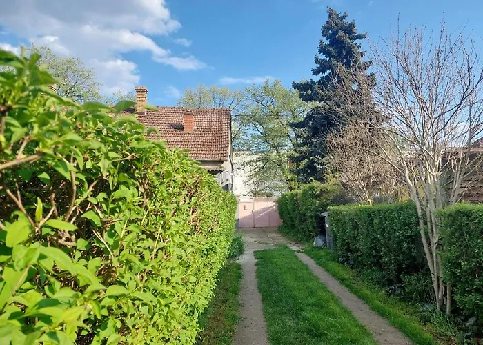 Nordic Dream In Appartement *