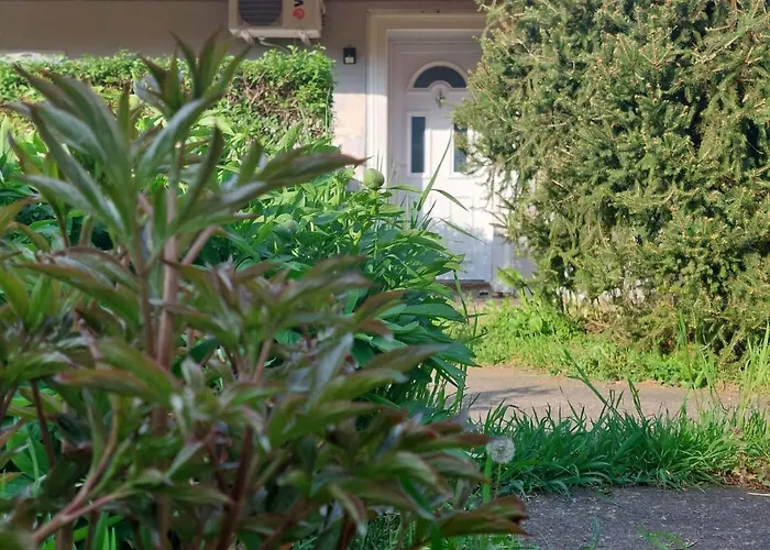 Appartement Nordic Dream In Kikinda